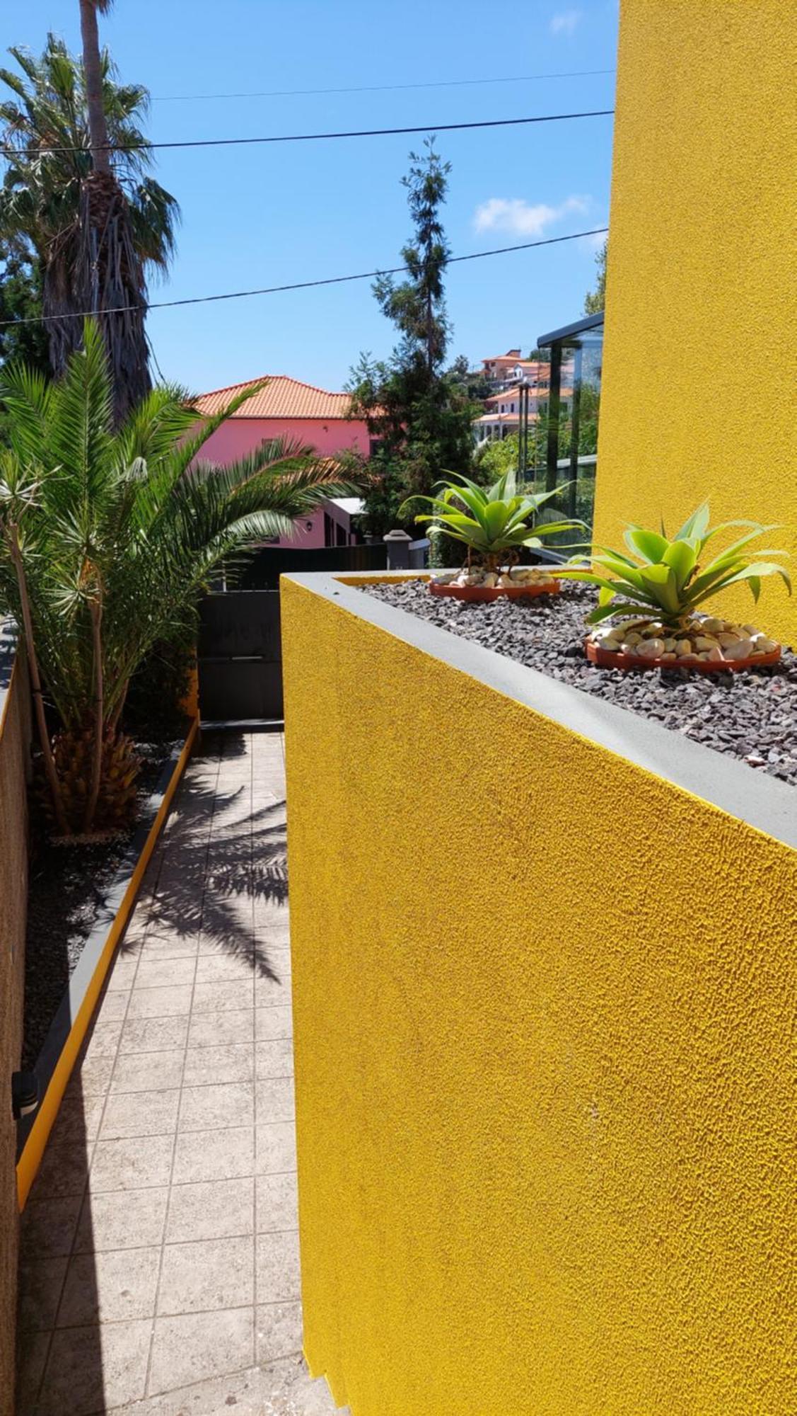 Villa Strelitzia Funchal  Exteriör bild